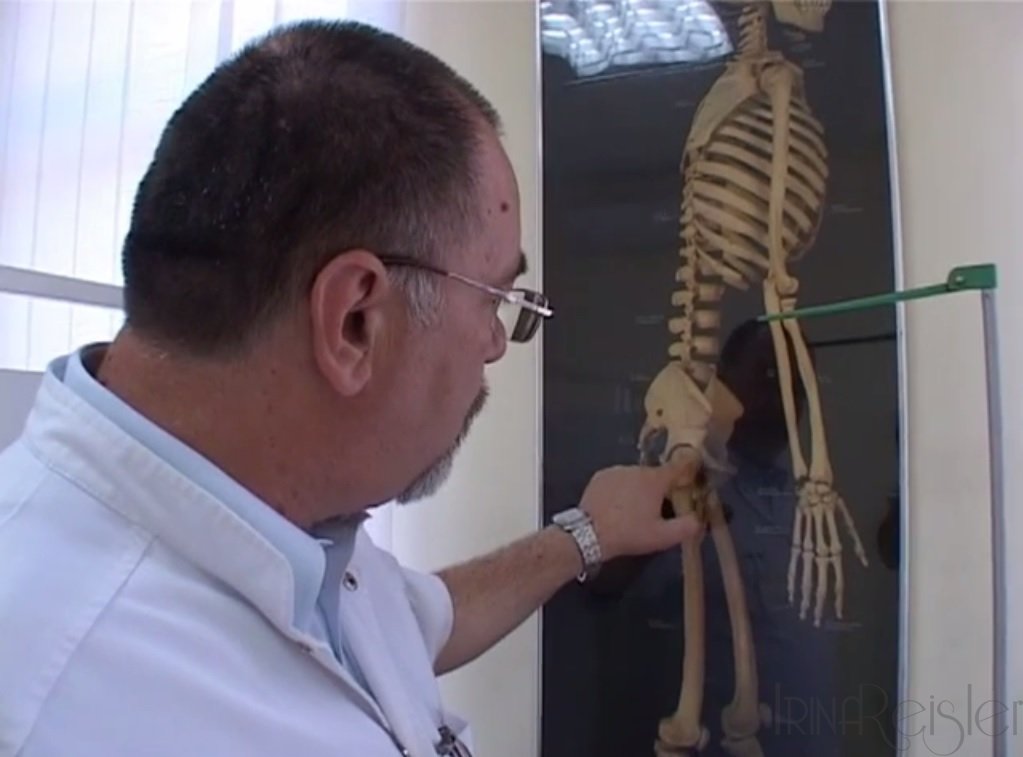 ALIMENTE CARE CONTIN CALCIU