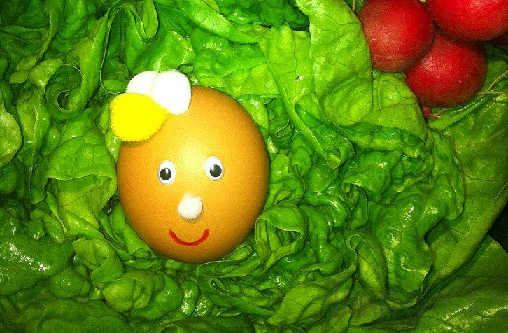 OUL, CEA MAI PURA PROTEINA ANIMALA