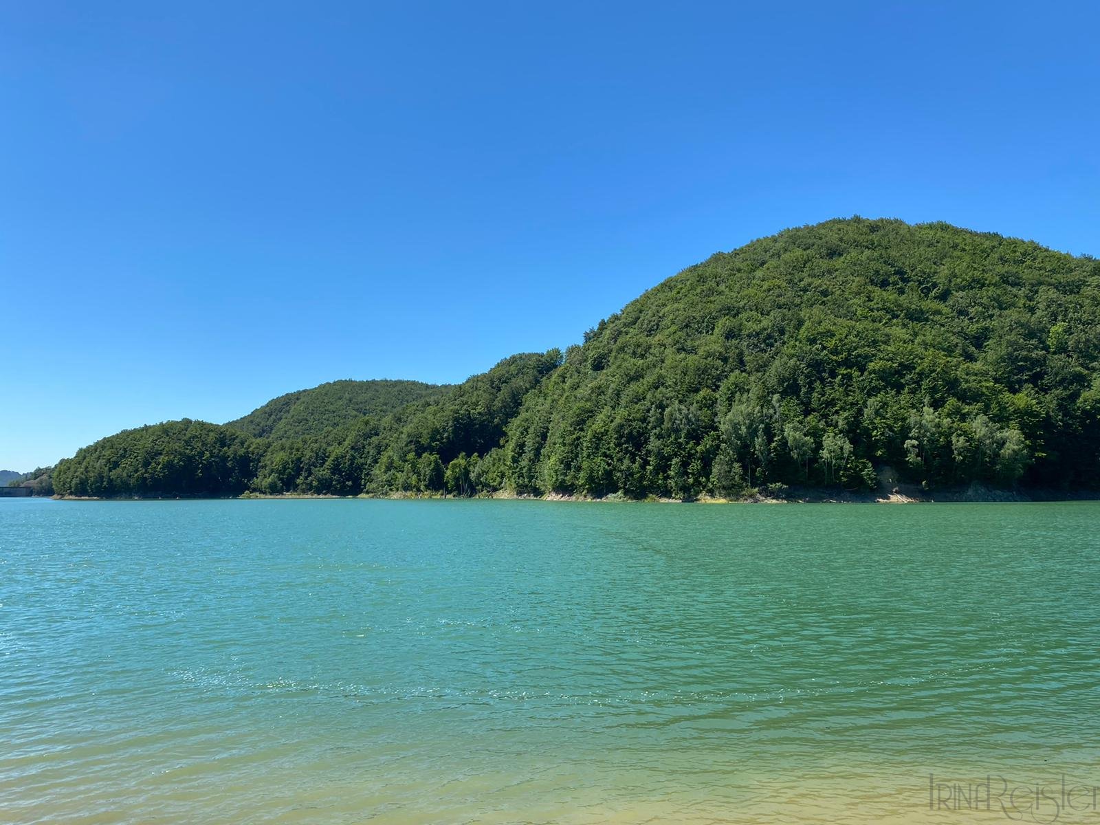 Picnic in padure, amintire din pandemie…